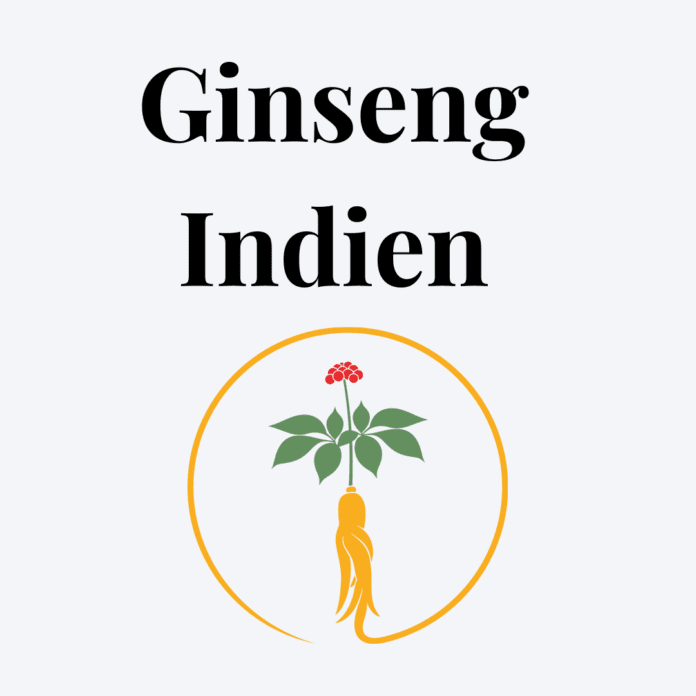 Ginseng Indien