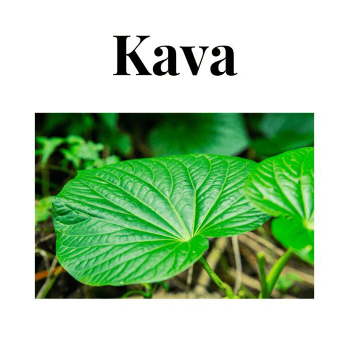 Kava