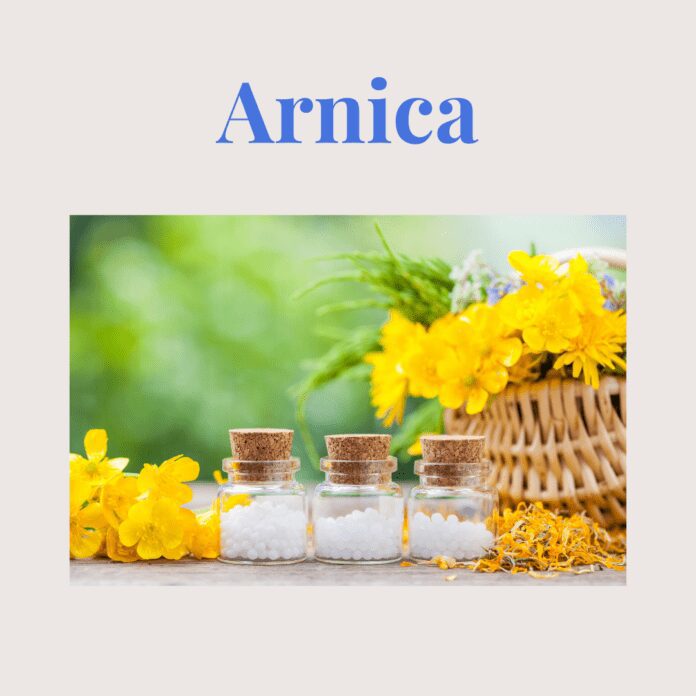 Arnica