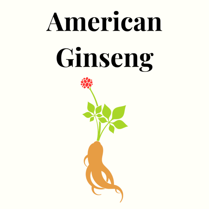 American Ginseng