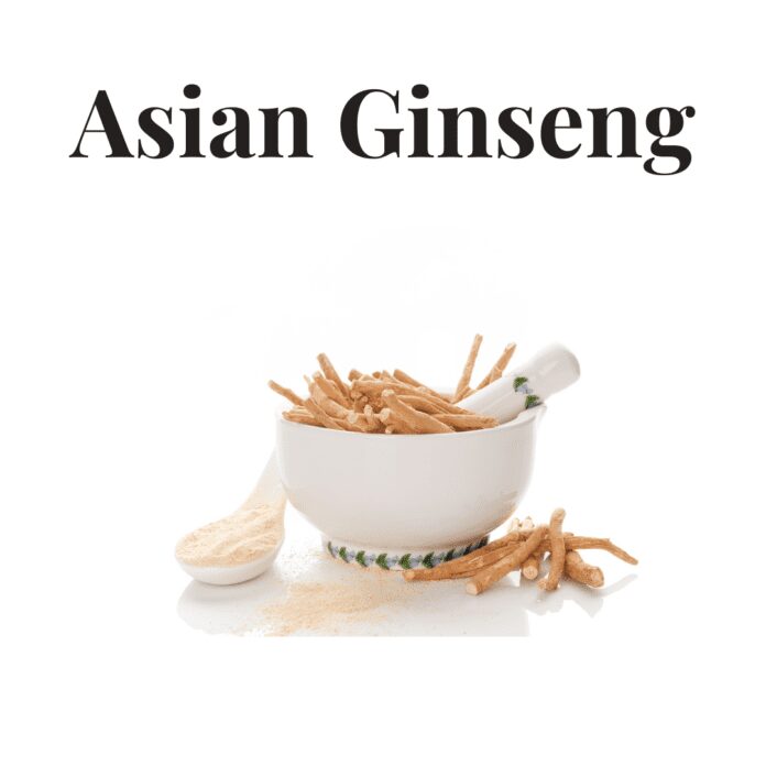 Asian Ginseng