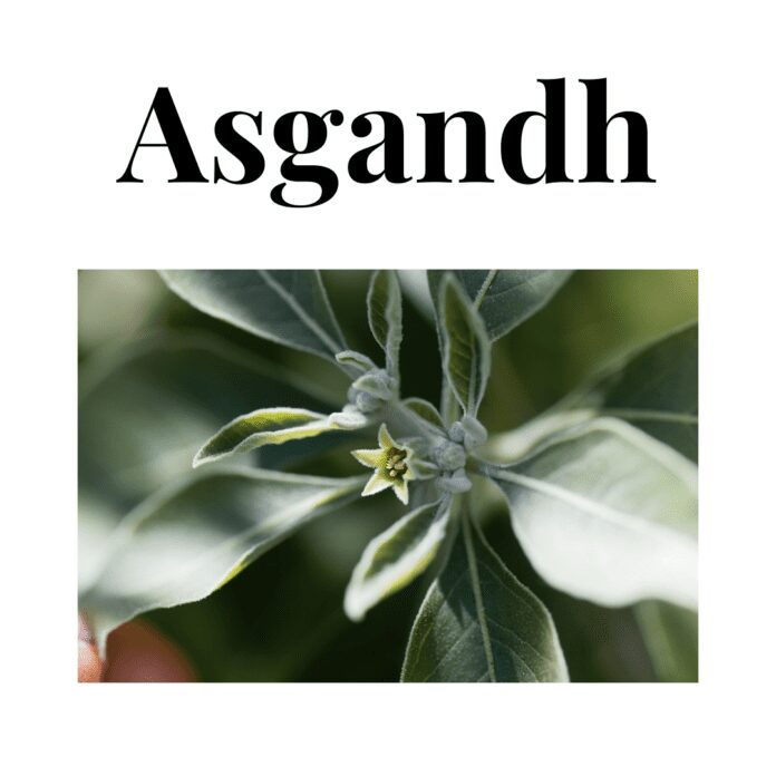 Asgandh