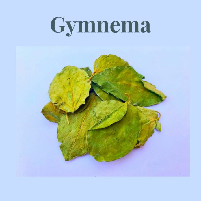 Gymnema