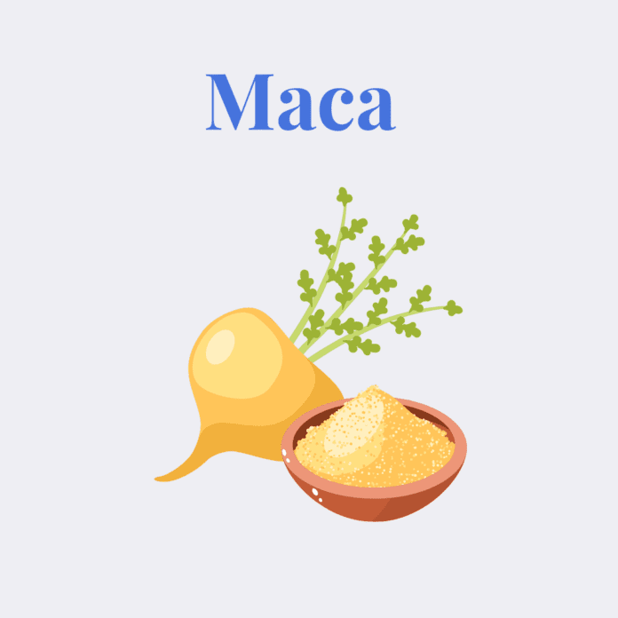 Maca