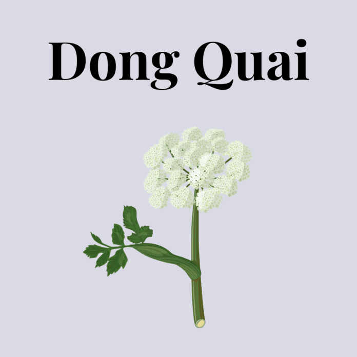 Dong Quai