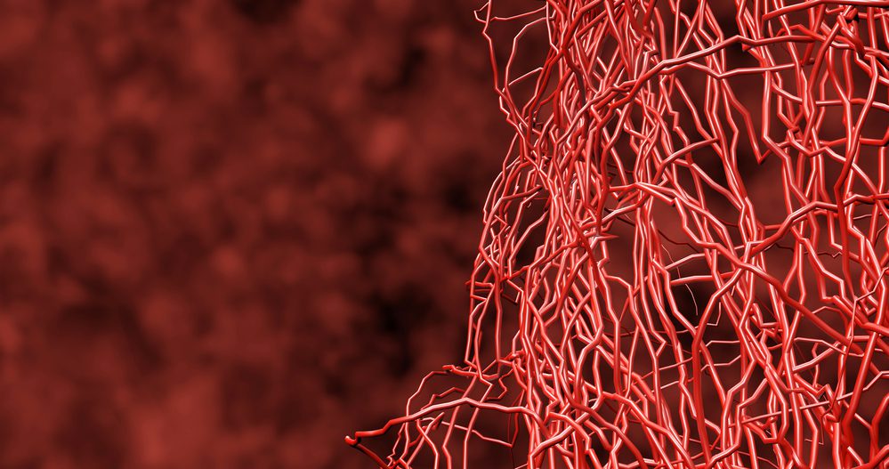 Нитевидный кровеносный сосуд. Кровеносная система капилляры. Сетка кровеносных сосудов. Капиллярная система человека.