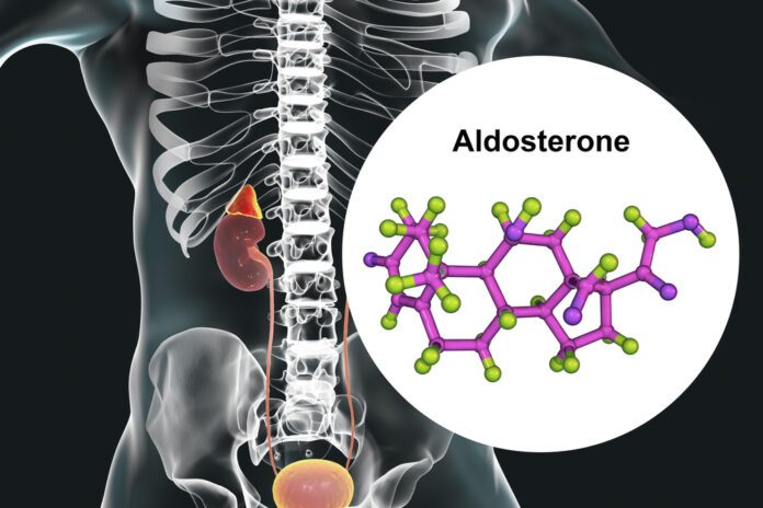 Aldosteronism With Normal Blood Pressure