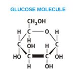 Gaucher Disease