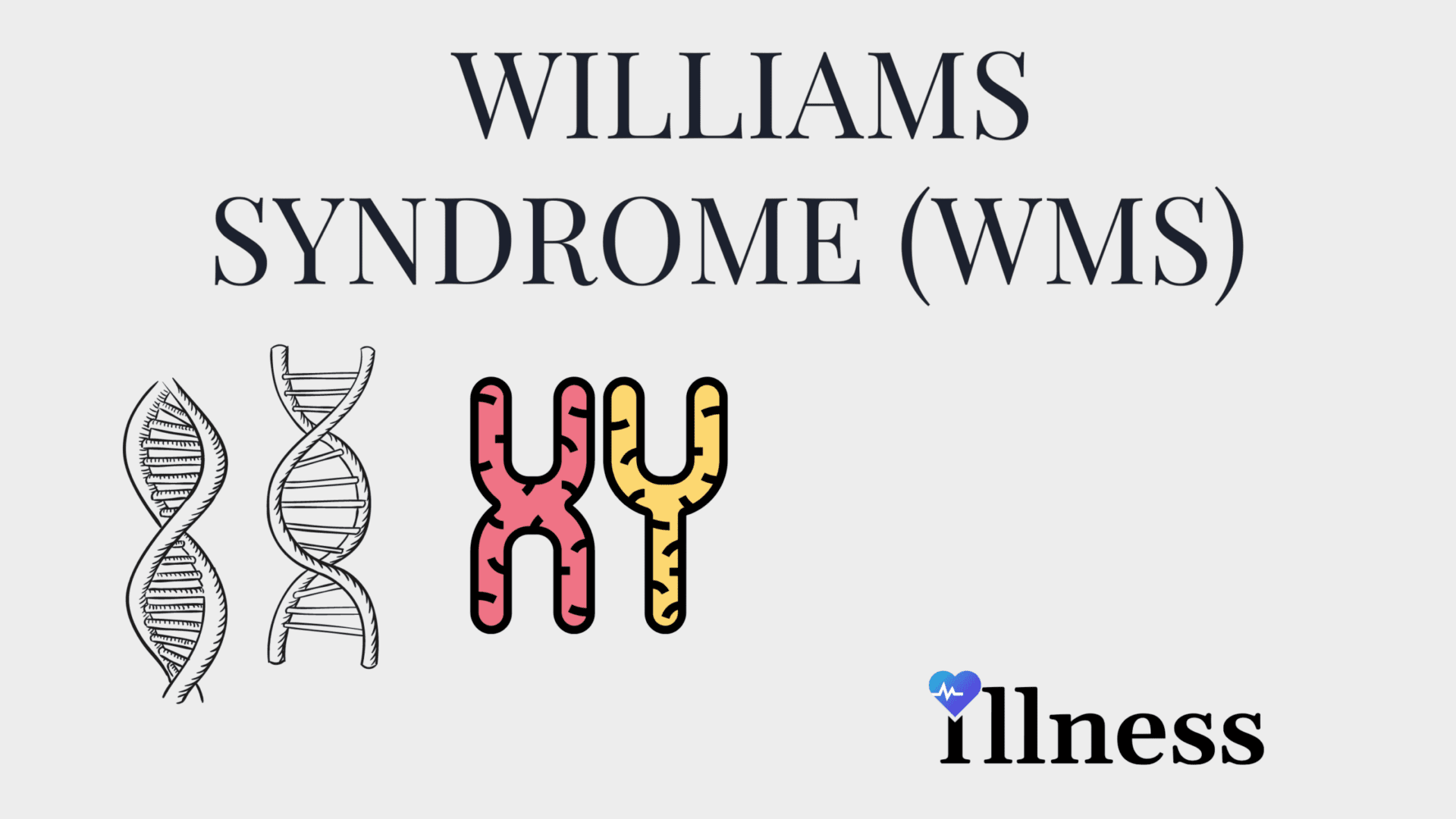 Williams Syndrome Overview Causes Symptoms Treatment