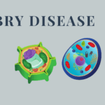 Fabry Disease