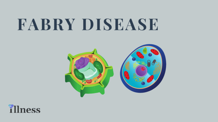 Fabry Disease