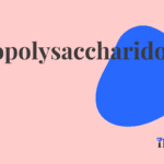 Mucopolysaccharidosis Type I