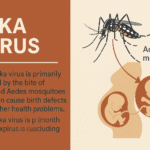 Zika Virus