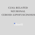 Cln3-related Neuronal Ceroid-lipofuscinosis