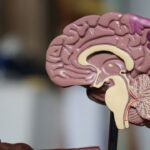 3 Common Signs Of Alzheimer's Disease
